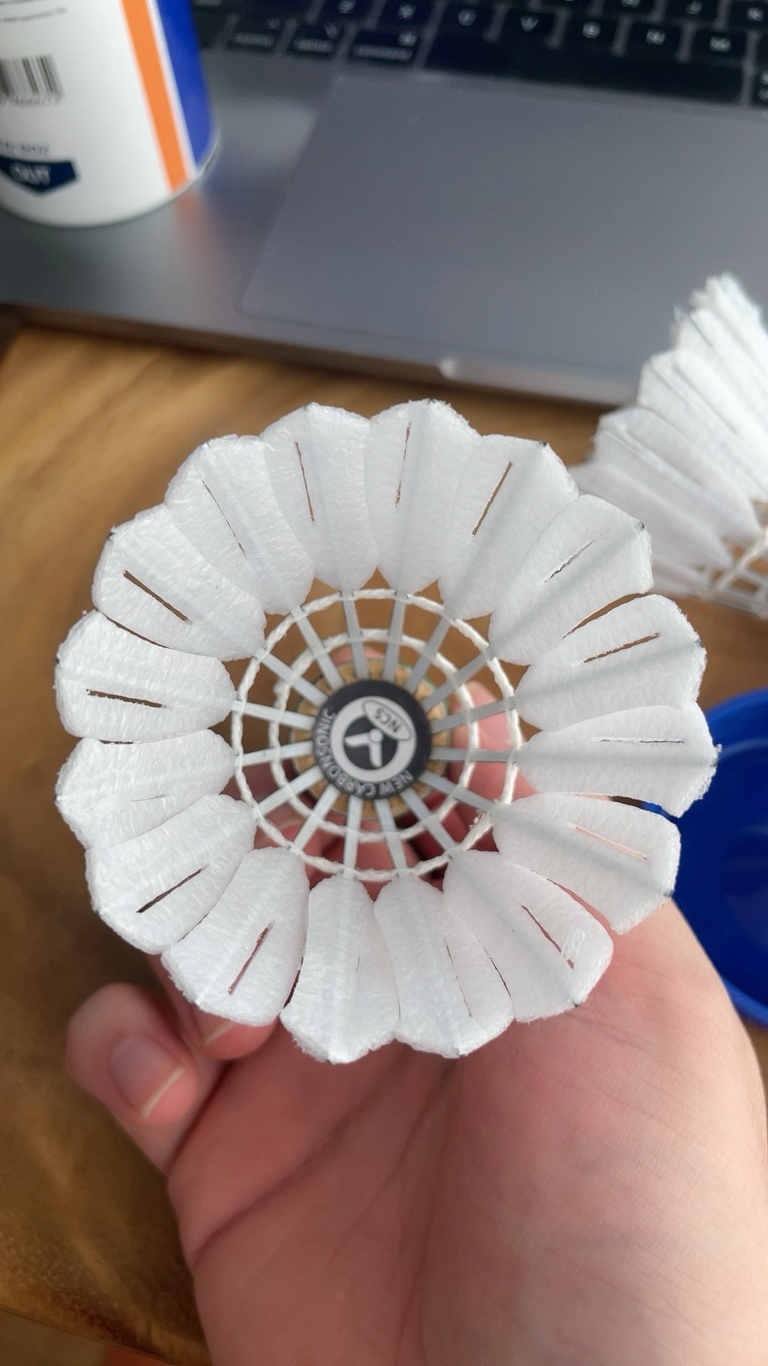 吸引了全明 吸引了全明